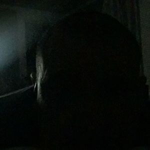 Meet your Posher, Ramiro